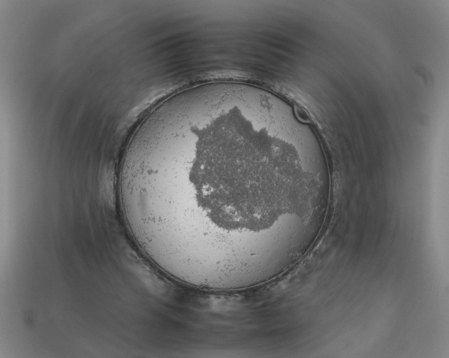 X0000113780345200910071228