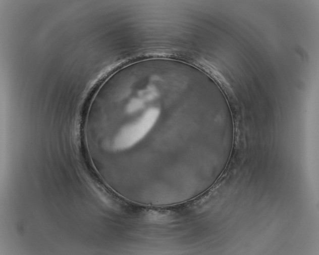 X0000113780346200910071228