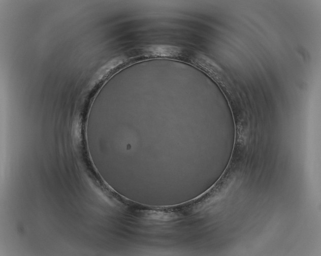 X0000113780347200910071228