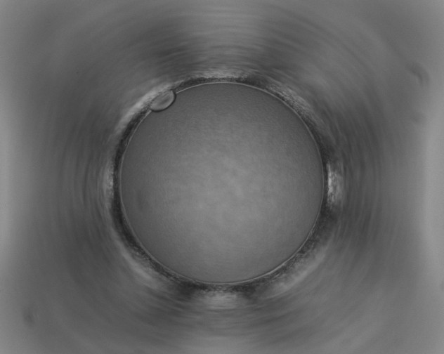 X0000113780348200910071228