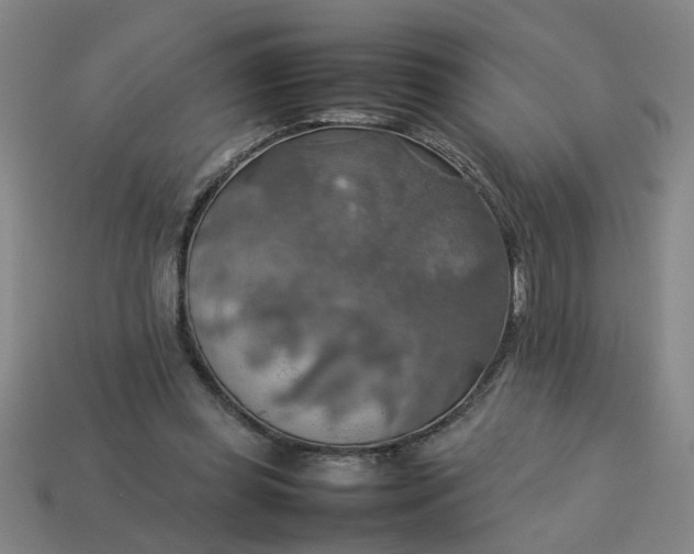 X0000113780349200910071228