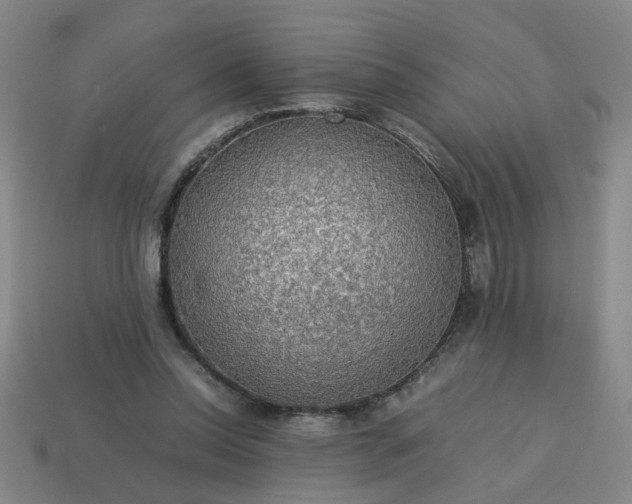 X0000113780350200910071228