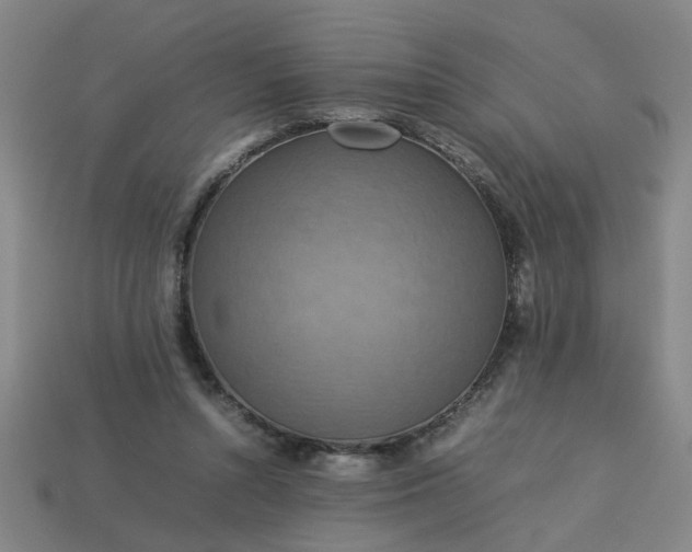 X0000113780352200910071228