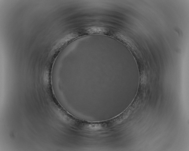 X0000113780353200910071228