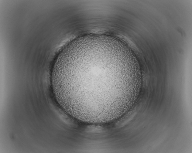 X0000113780354200910071228