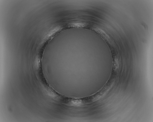 X0000113780355200910071228