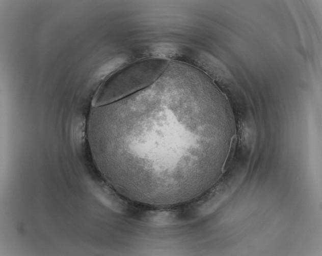 X0000113780356200910071228