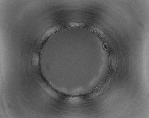 X0000113780357200910071228