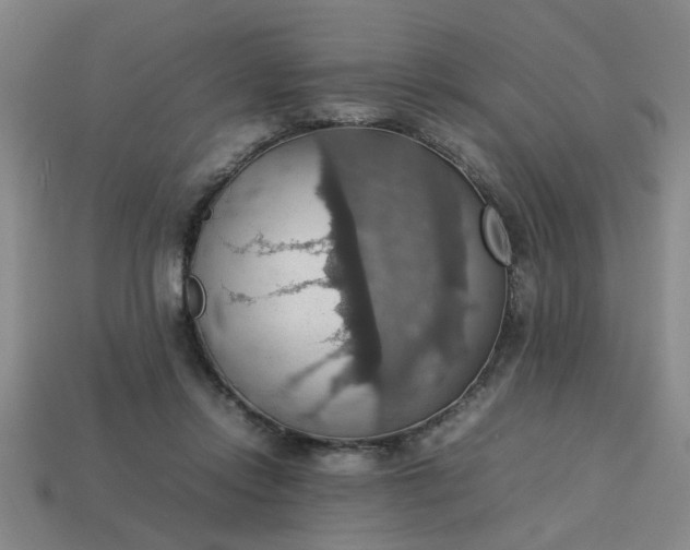 X0000113780358200910071228