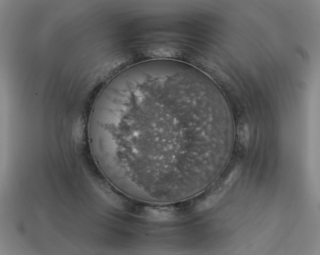 X0000113780359200910071228