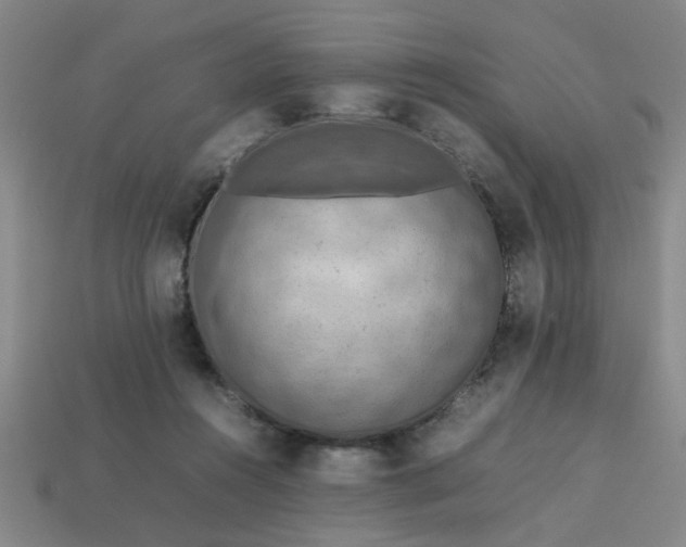 X0000113780360200910071228