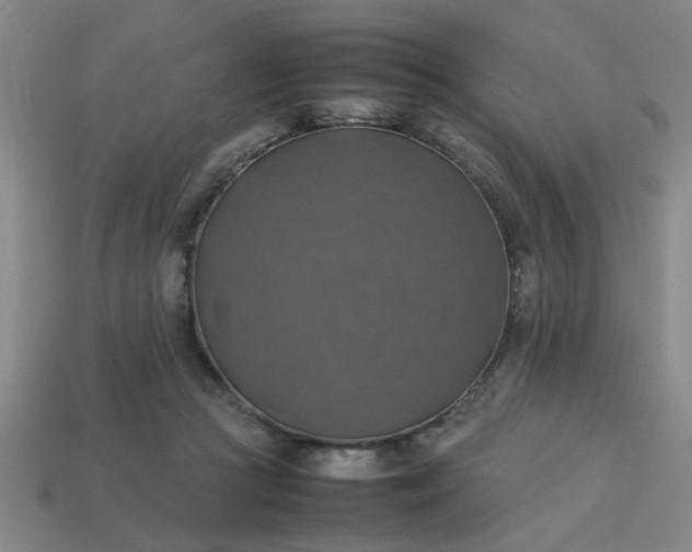 X0000113780361200910071228