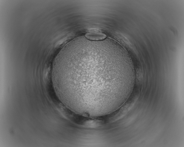 X0000113780364200910071228