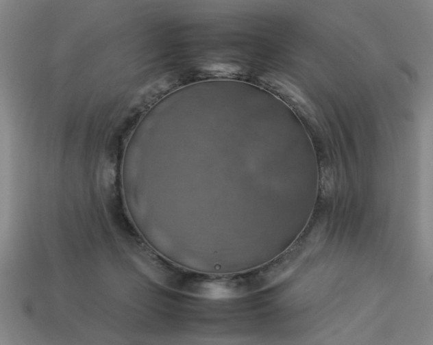 X0000113780365200910071228