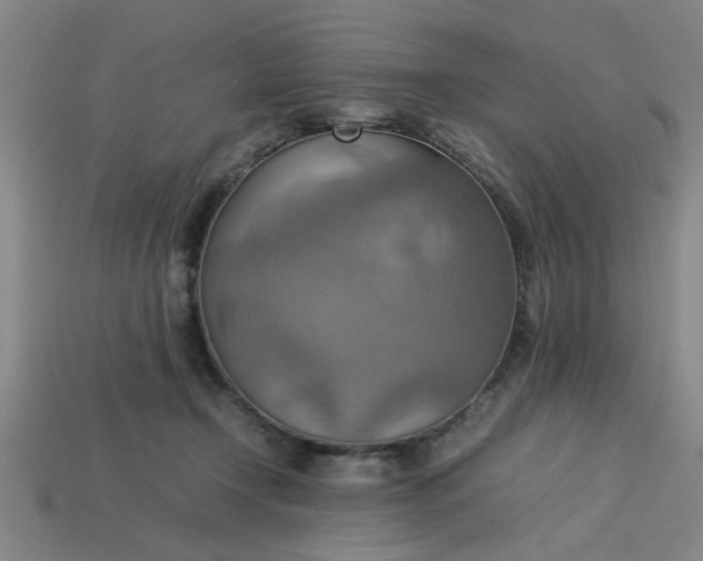 X0000113780366200910071228