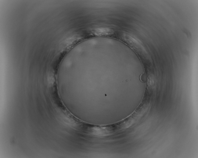 X0000113780367200910071228