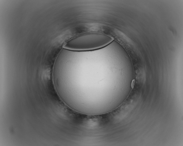 X0000113780368200910071228