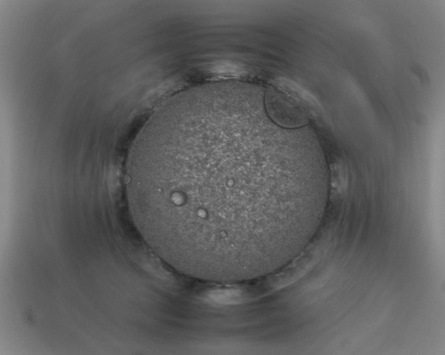 X0000113780369200910071228