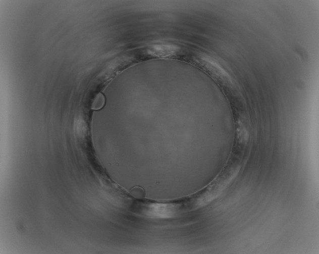 X0000113780371200910071228