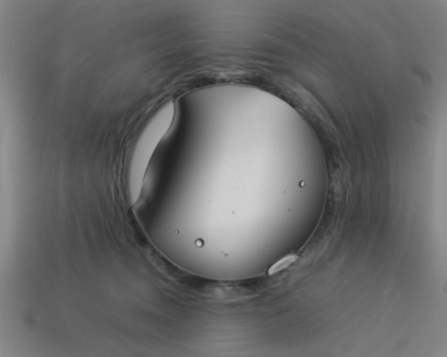 X0000113780372200910071228