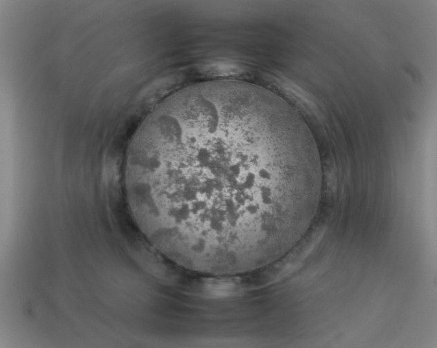 X0000113780373200910071228