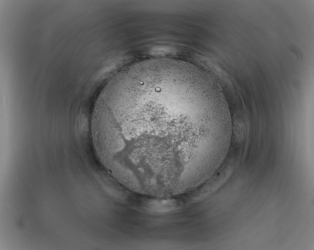 X0000113780375200910071228