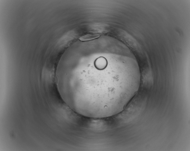 X0000113780376200910071229