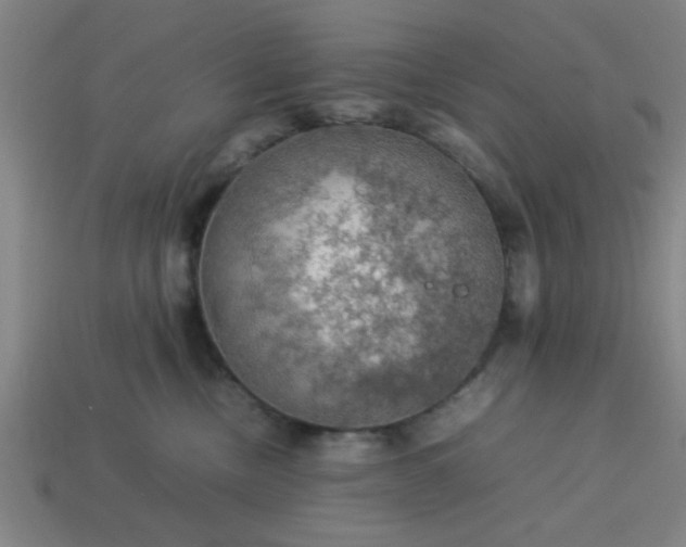 X0000113780378200910071229