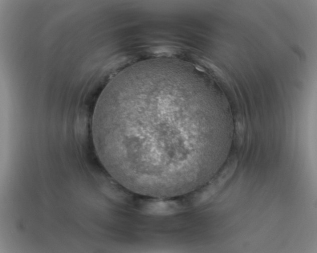 X0000113780379200910071229