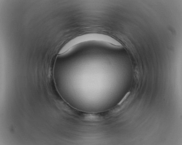 X0000113780380200910071229