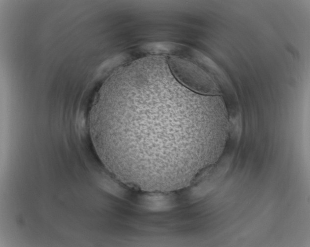 X0000113780381200910071229