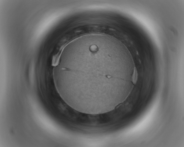 X0000113780382200910071229