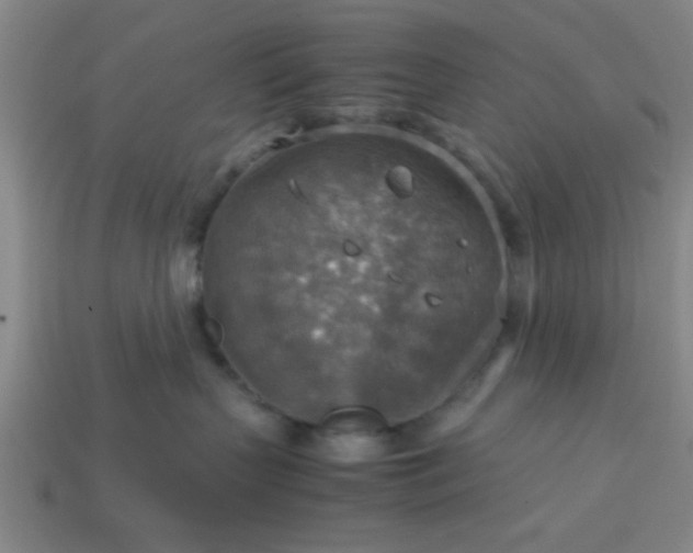 X0000113780383200910071229