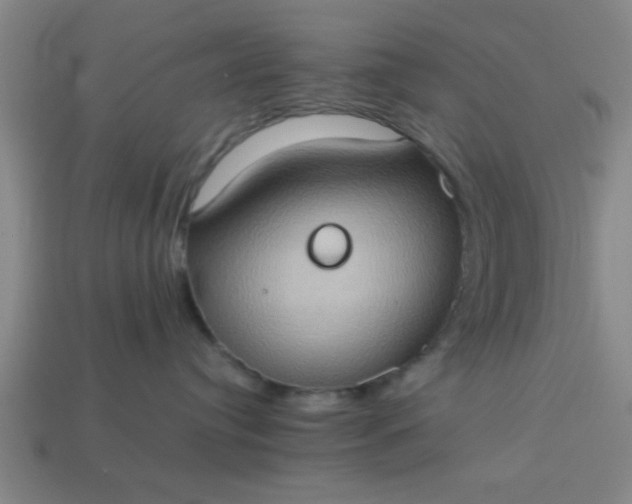 X0000113780384200910071229