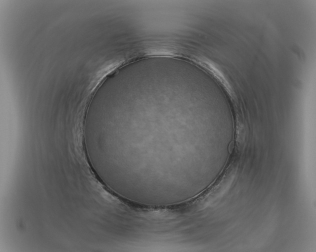 X0000113780385200910071228