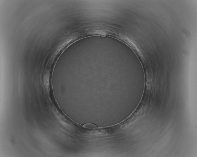 X0000113780386200910071228