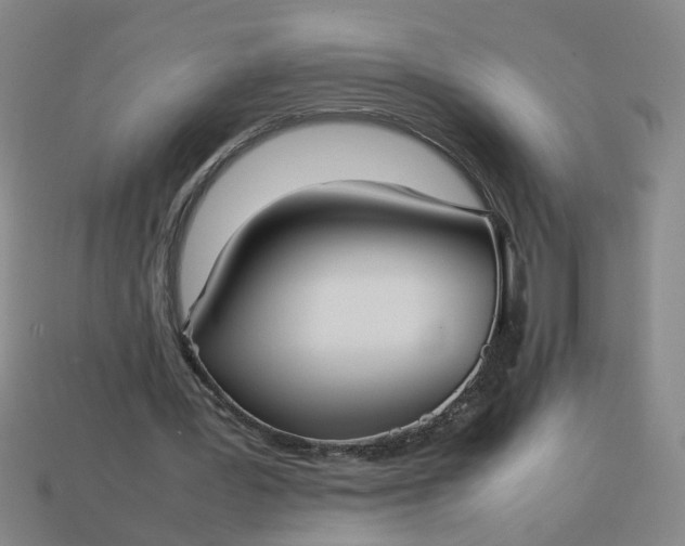 X0000113780387200910071228