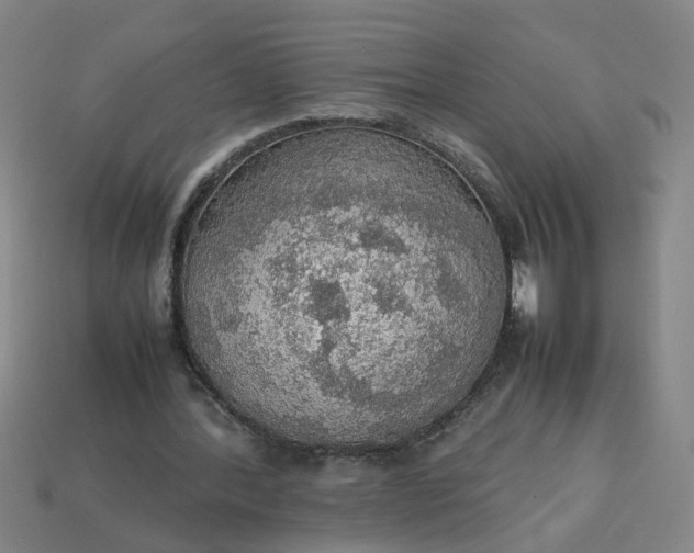 X0000113780388200910071228