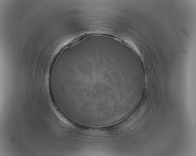 X0000113780389200910071228