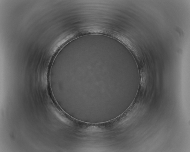 X0000113780390200910071228