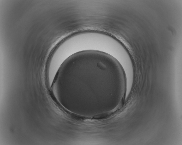 X0000113780391200910071228