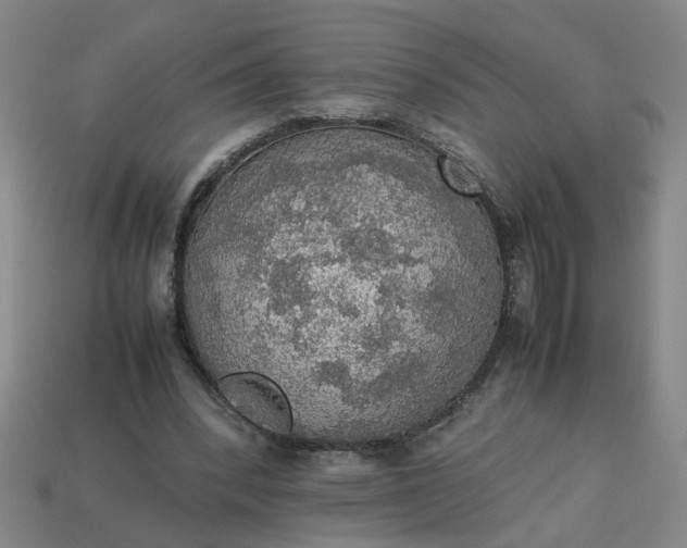 X0000113780392200910071228