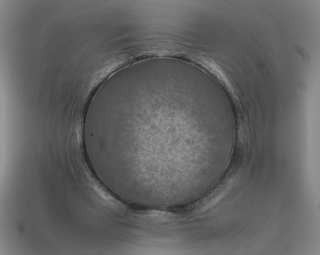 X0000113780393200910071228