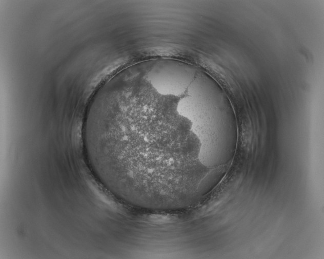 X0000113780394200910071228