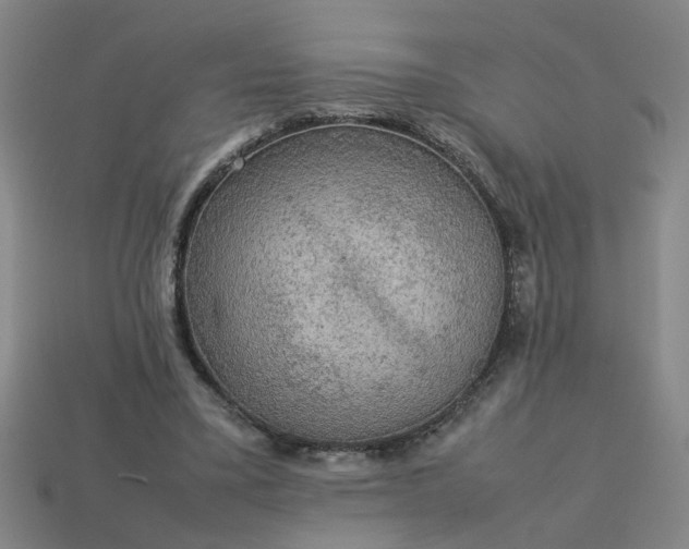 X0000113780395200910071228