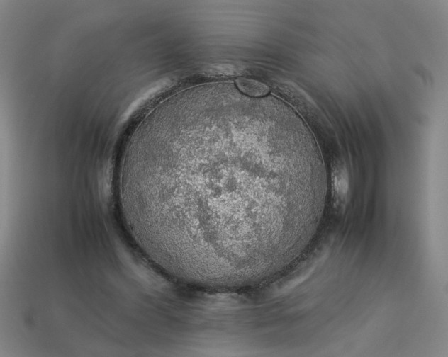 X0000113780396200910071228