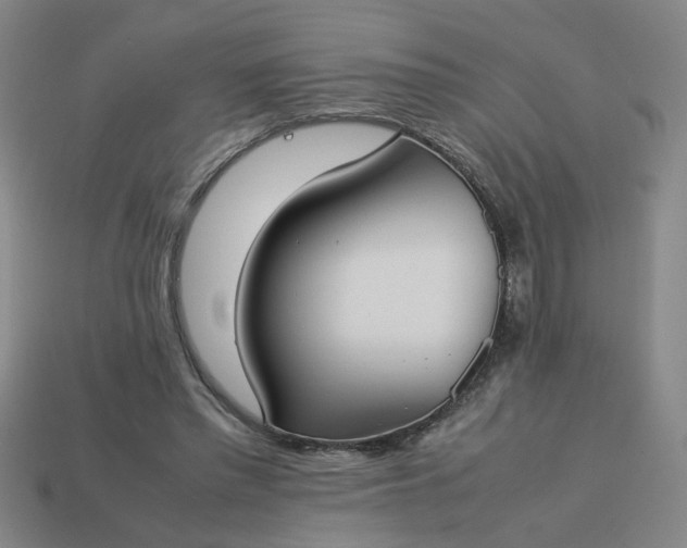 X0000113780397200910071228