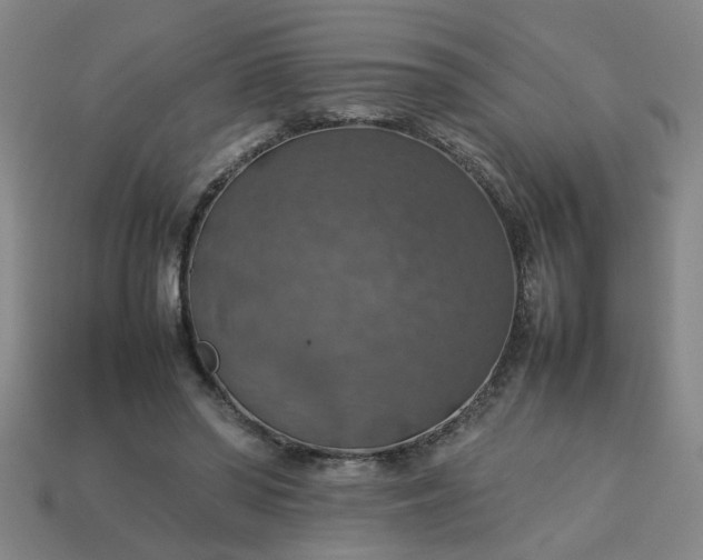 X0000113780398200910071228