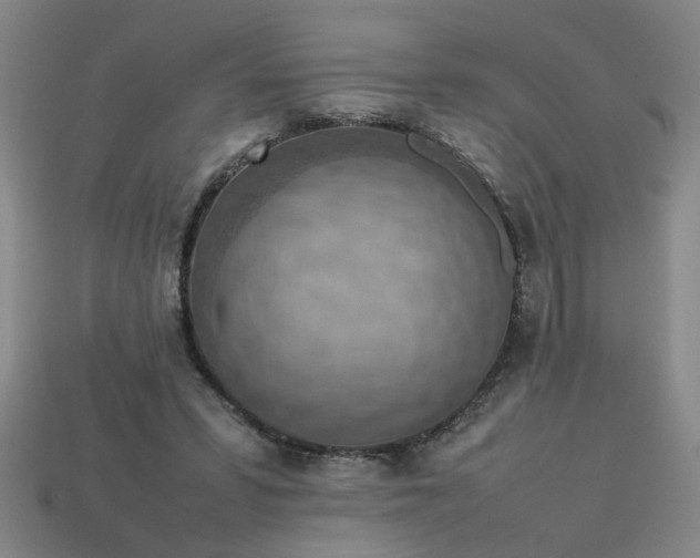 X0000113780399200910071228