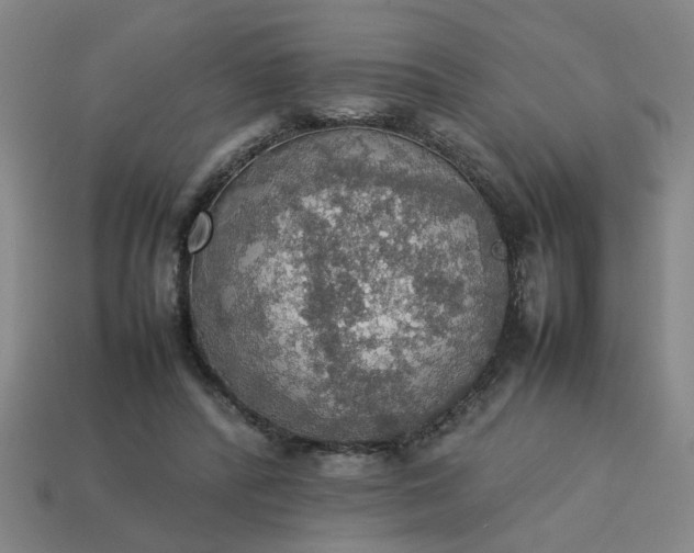 X0000113780400200910071228